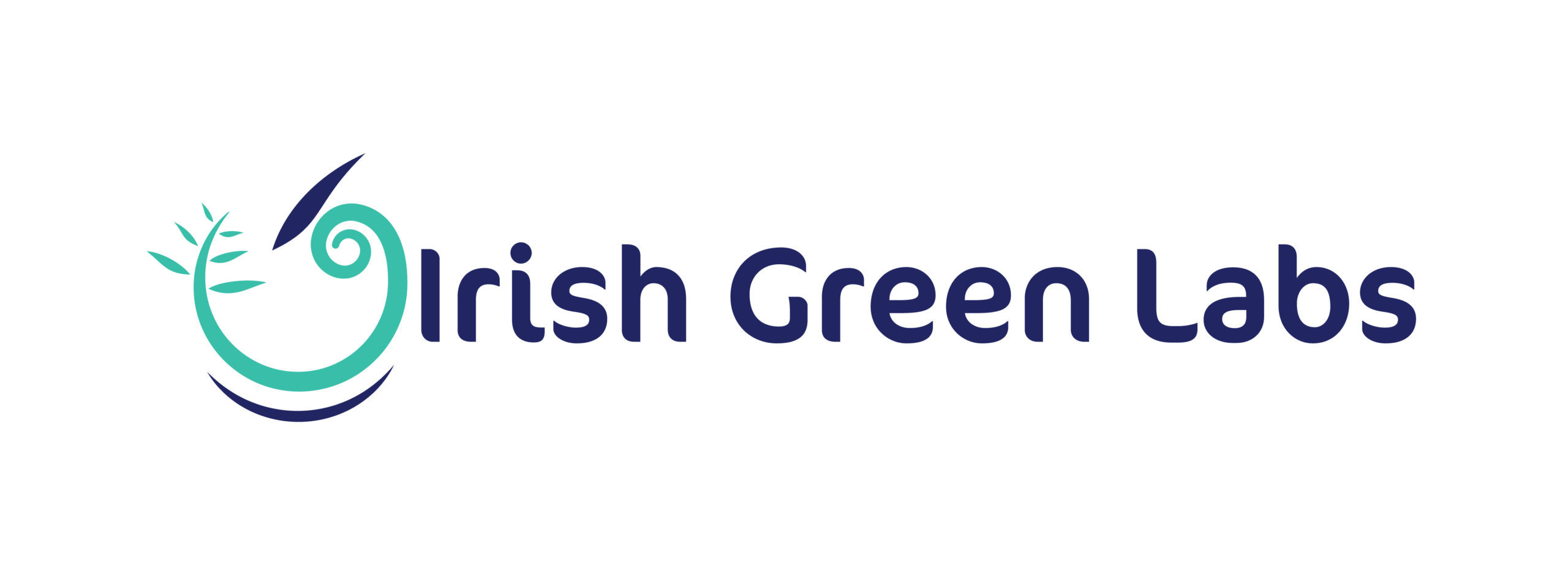 Irish_green_labs